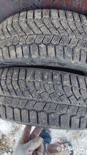 Viatti Brina Nordico V-522 20.5/55 R16