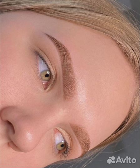 Обучение на бровиста