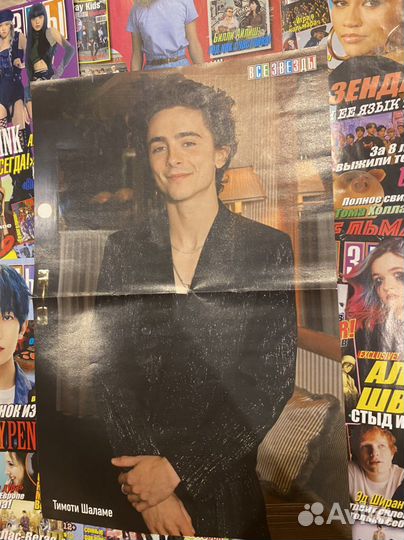 Плакаты Maneskin