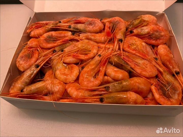 Креветка северная. 2023. Опт