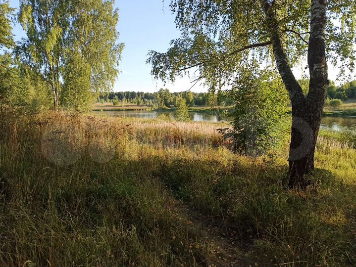 Участок 12 сот. (ИЖС)