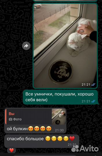 Котоняня район Красной площади, Баскет холл