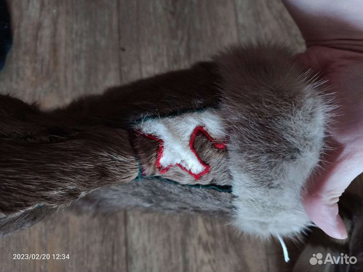 Кисы детские