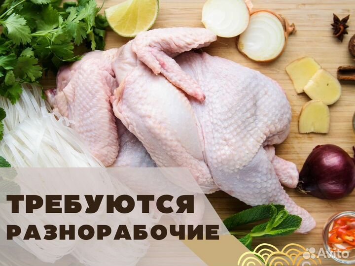 Упаковщики/Сборщики (можно без опыта)