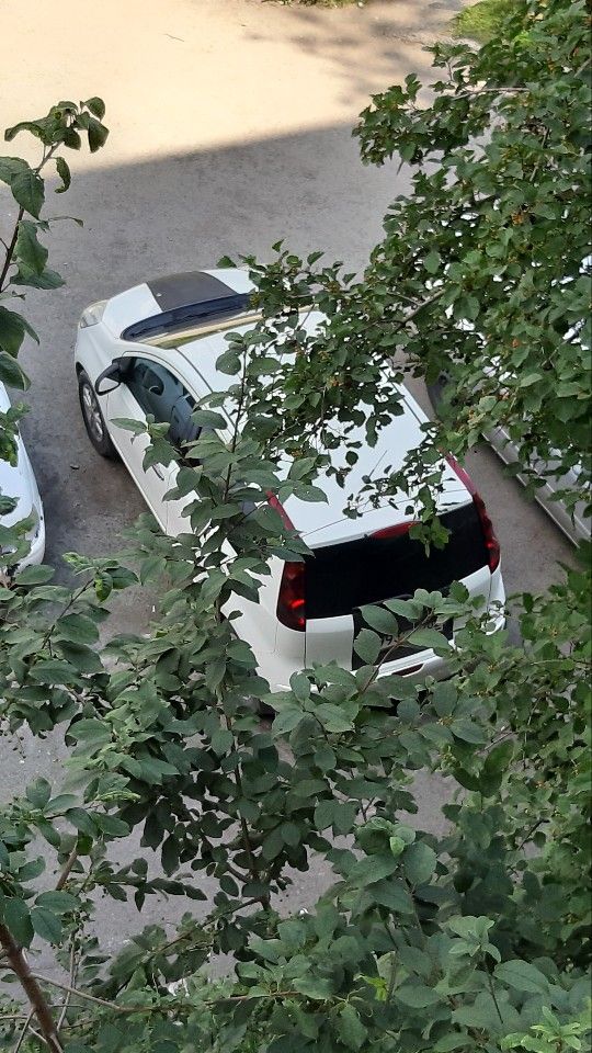 Nissan Note: фото владельца