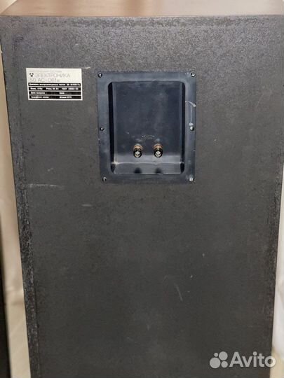 Колонки Электроника 50ас-061М