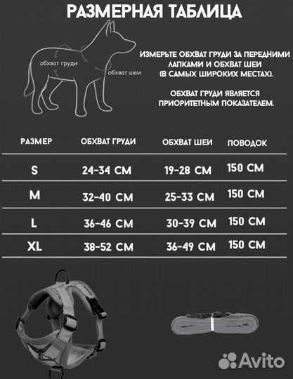Шлейка для маленькой собаки
