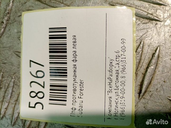 Птф противотуманная фара левая Subaru Forester