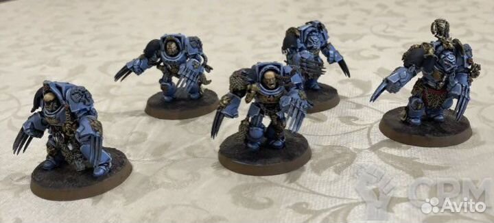 Warhammer 40.000 Wolf Guard Terminators