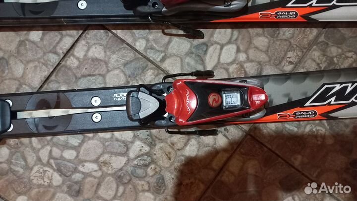 Горные лыжи