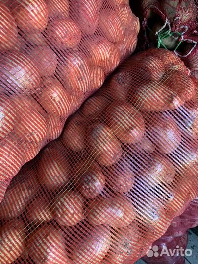 Продам крупный картофель