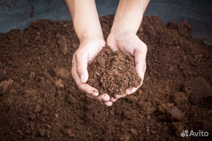 Навоз конский в мешках