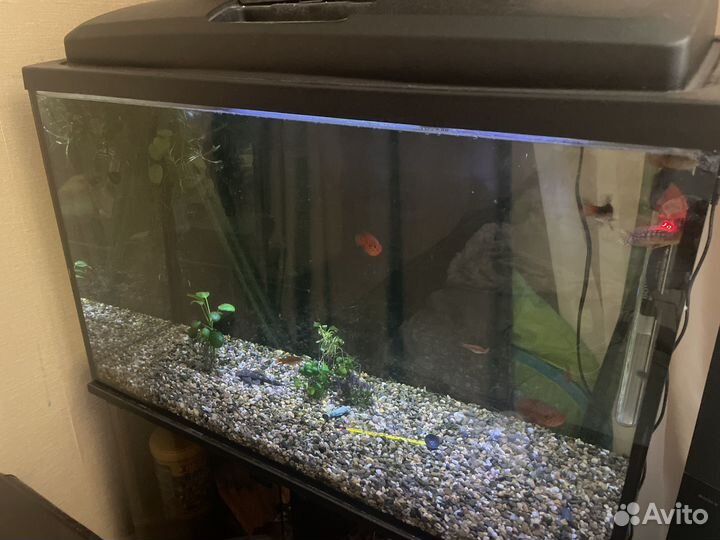 Аквариум 150 литров