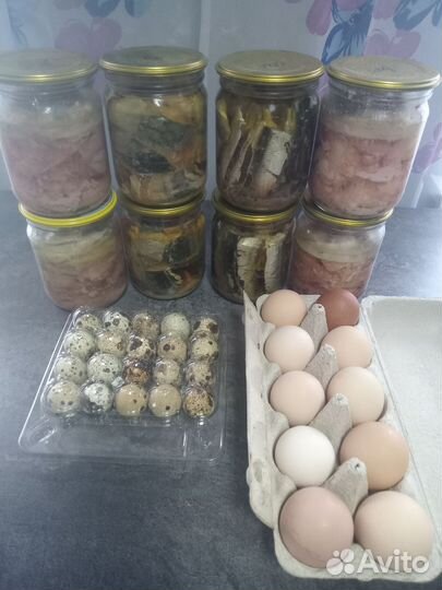 Мясо перепелов, потрошка, яйцо, тушенка, консервы