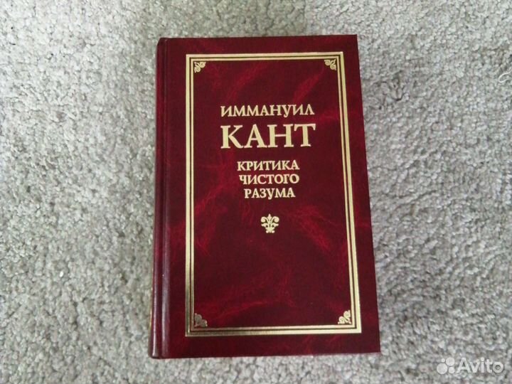 Читать книгу канта критика чистого разума. Читать книгу канта критика чистого разума