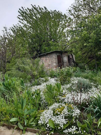 Участок 13 сот. (ИЖС)