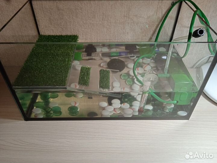 Террариум для черепахи