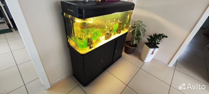 Аквариум с тумбой