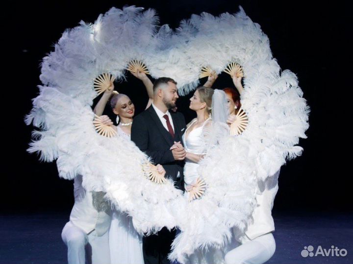 Перьевые веера в аренду