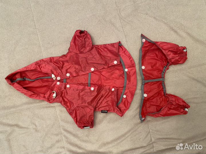 Дождевик для маленькой собаки