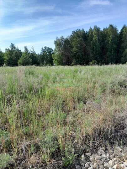 Участок 17,1 сот. (ИЖС)