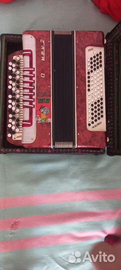 Баян огонек 2