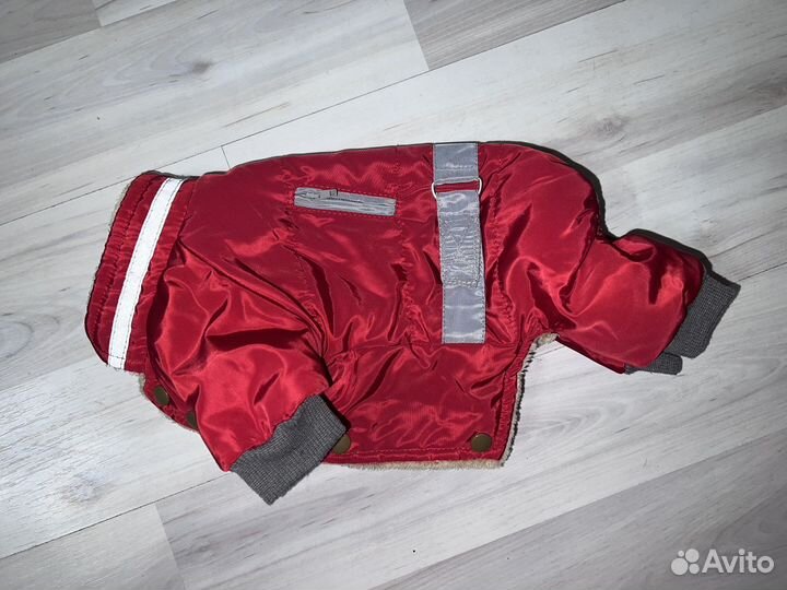 Одежда для собак мелких пород