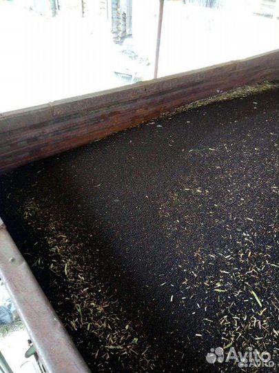 Рапс,Дост. екб