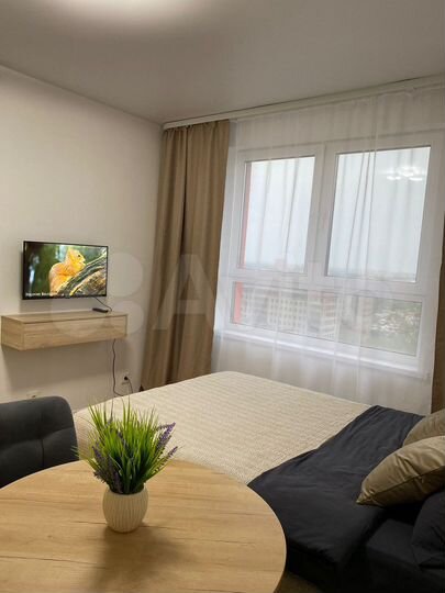 Квартира-студия, 19,8 м², 15/17 эт.