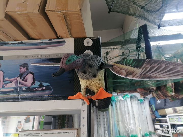 Гусиные профиля