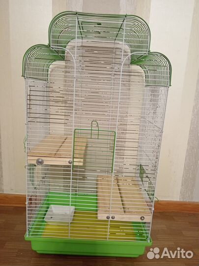 Грызуны, птицы