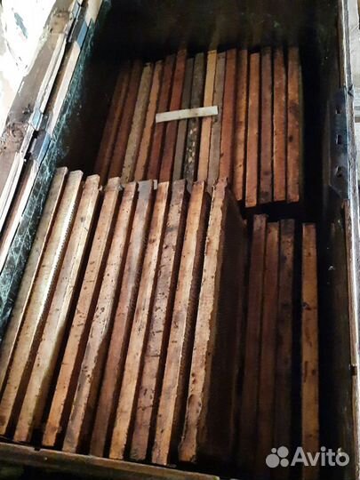 Улей с пчелами, пассика