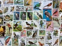 Птицы коллекция 100 марок