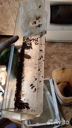 Уборка квартир