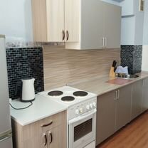 1-к. квартира, 48 м², 2 кровати