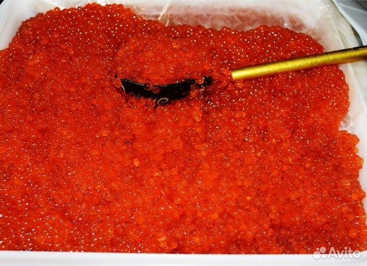 Красная икра август 2023 оптом и мелким оптом