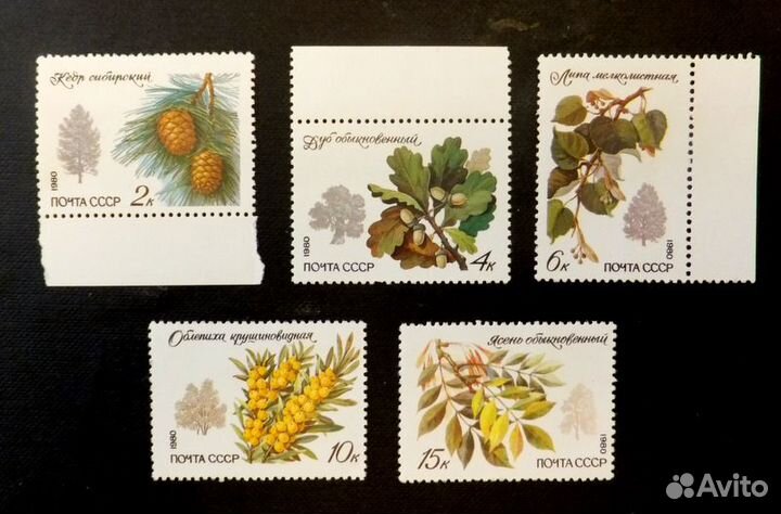 Марки. Охраняемые породы деревьев и кустарников