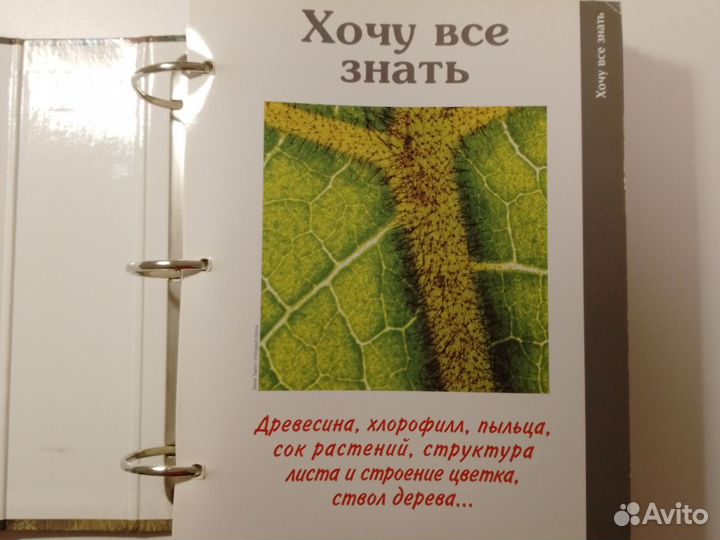 Deagostini Тайны леса