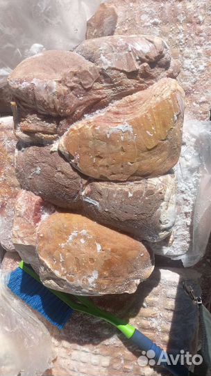 Вымя говяжье. Корм для собак