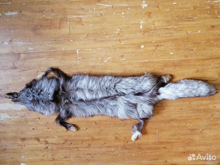 Шкура животного