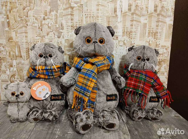 Кот Басик в шарфе