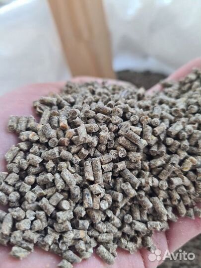 Комбикорм для кур несушек