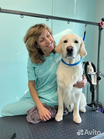 Груминг с любовью для ваших питомцев