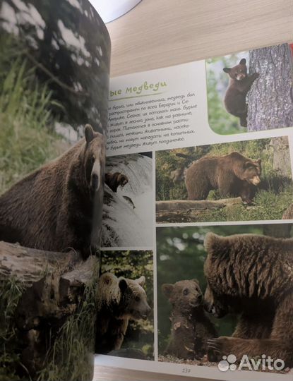 Энциклопедия про животных