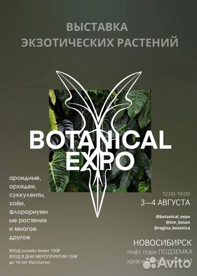 Выставка-продажа растений