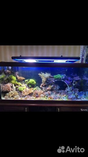 Светильник для морского и пресноводного аквариума