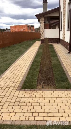 Рулонный газон от производителя