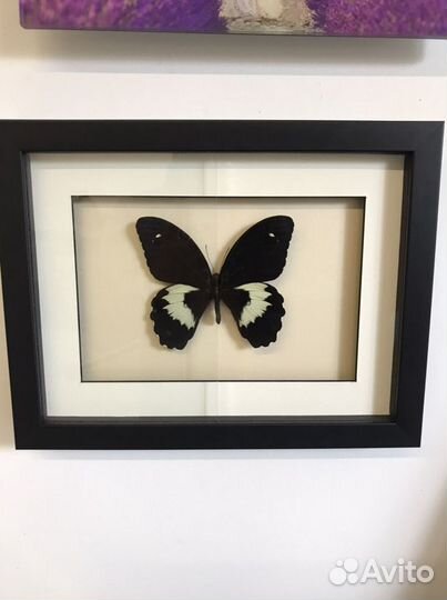 Музейное стекло