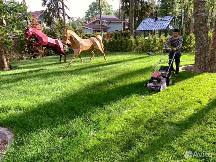 Рулонный газон от производителя
