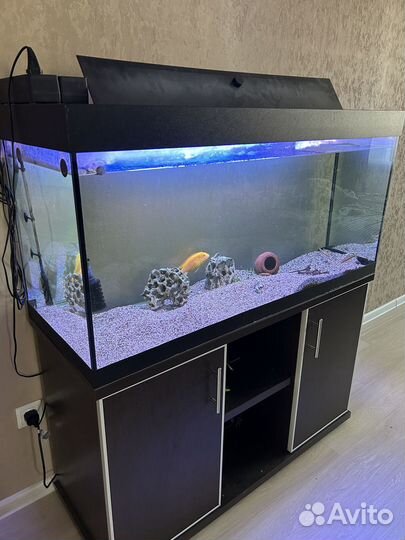 Аквариум 320л